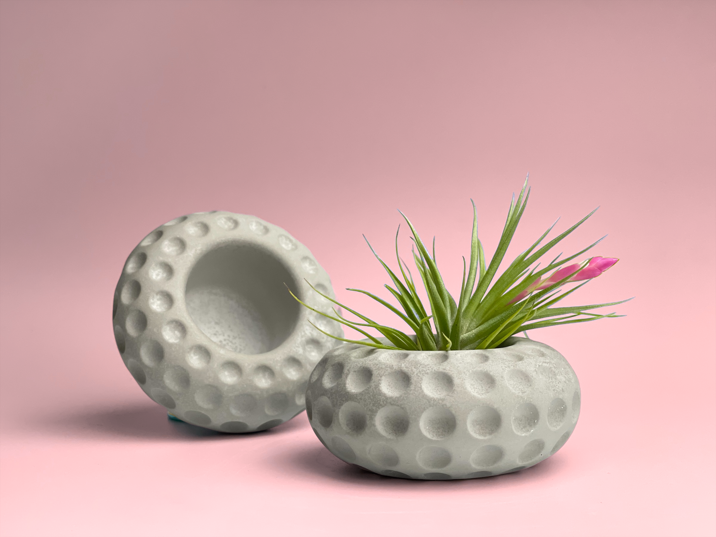 fred fancy ceramic mini air plant/succulent holder Unique Tillandsia Air Plant Holder