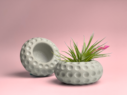 pots for air plants Unique Tillandsia Air Plant Holder