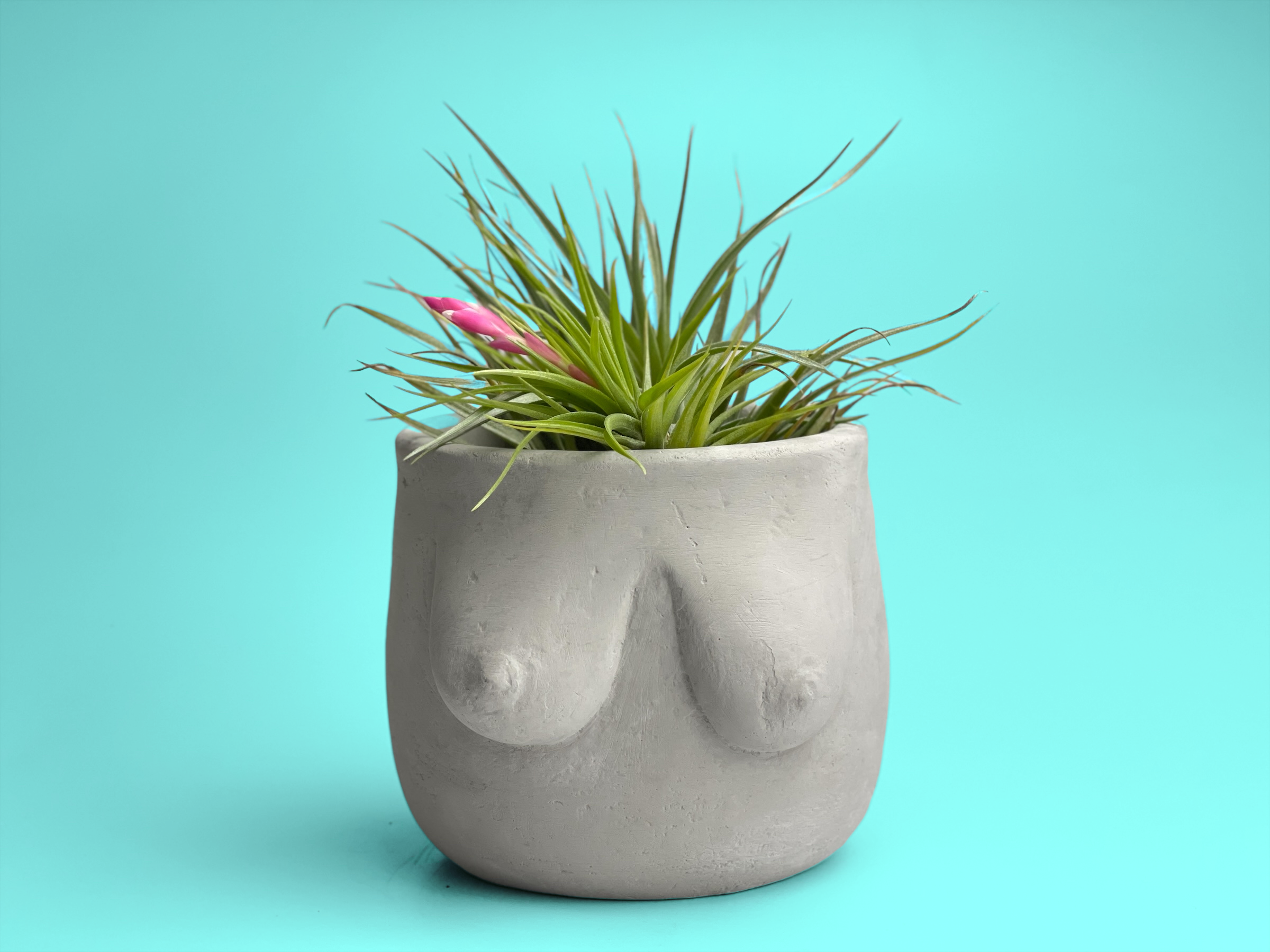 plant pot with boobs Boobs Planter