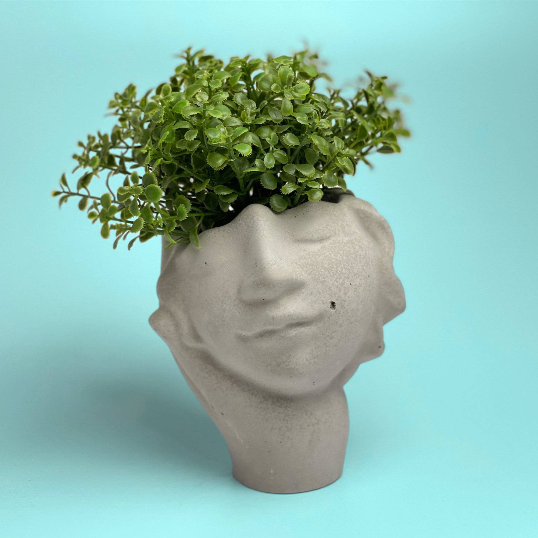 succulent head planter Face Succulent Planter on Hand 7624379367574