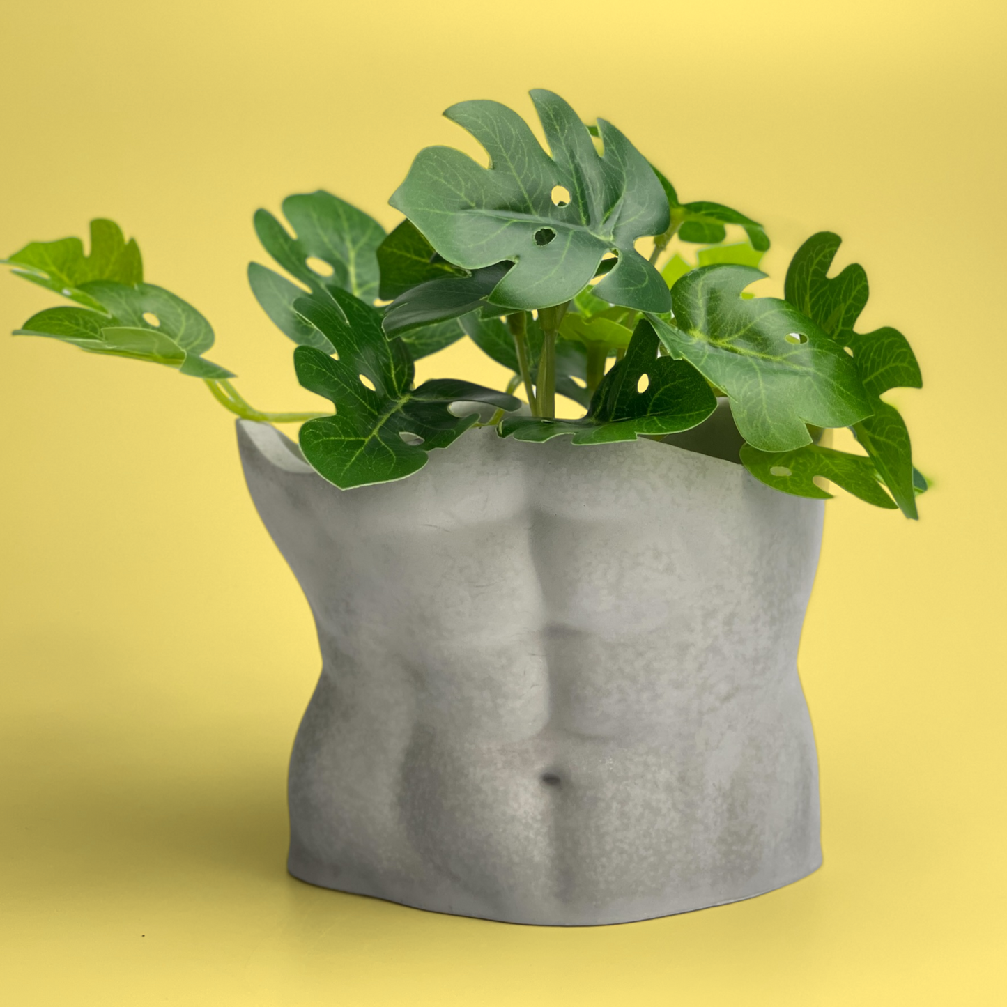 breast pot planter Male Body Planter Pot