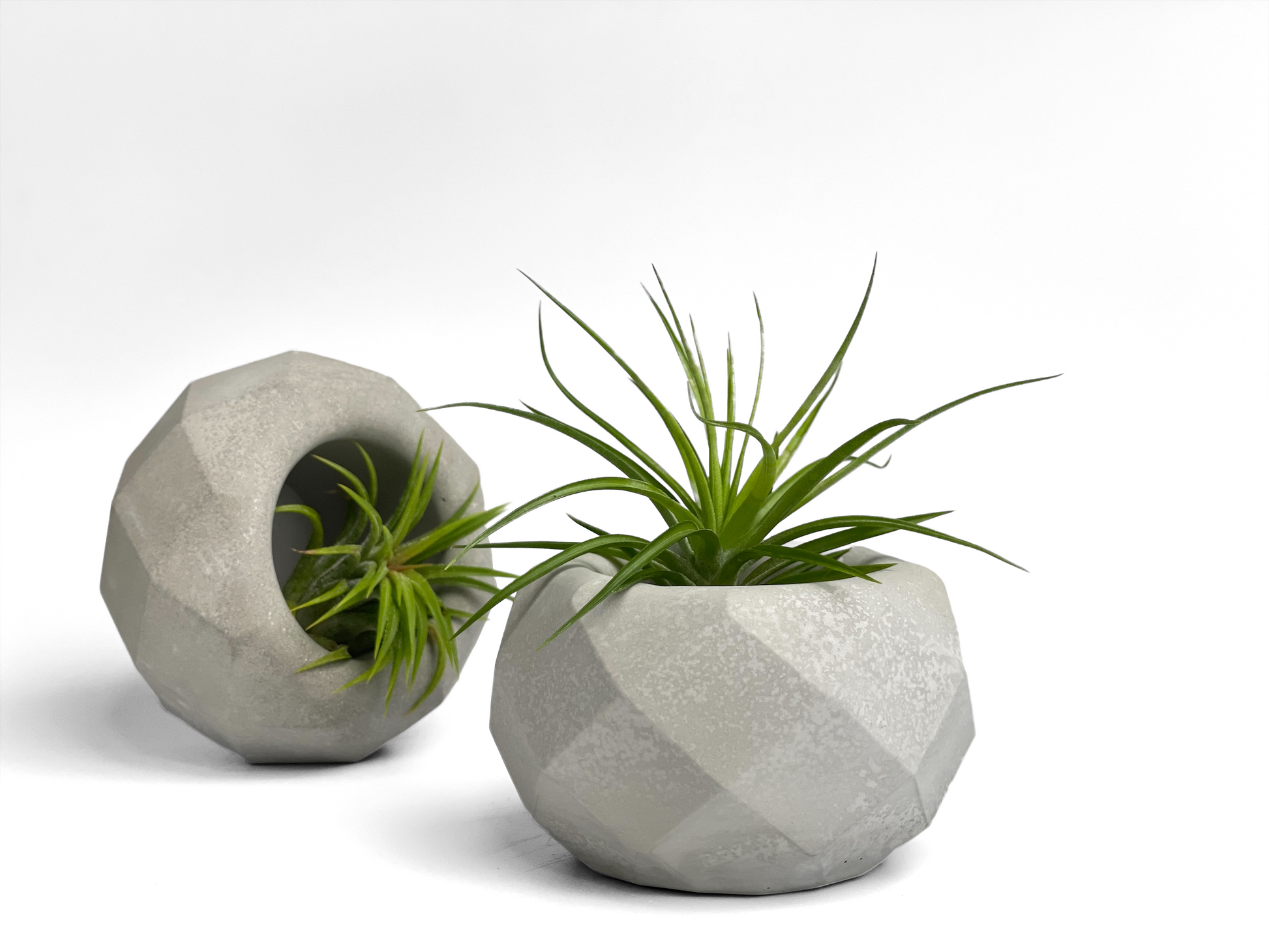 geometric pot plant Geometric Air Plant Holder 7624360493206