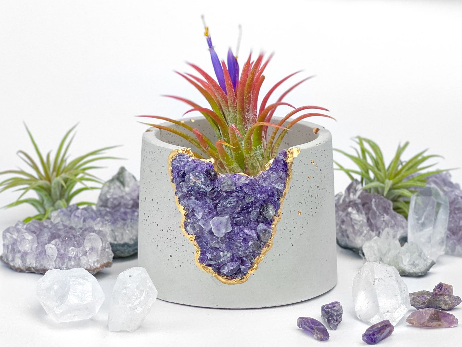 amethyst air plant 3" Geode Planter 7007501287574
